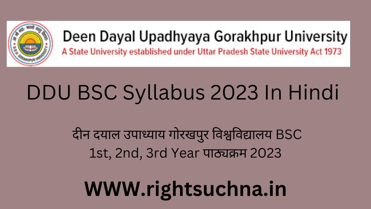 DDU BSC Syllabus 2023 In Hindi