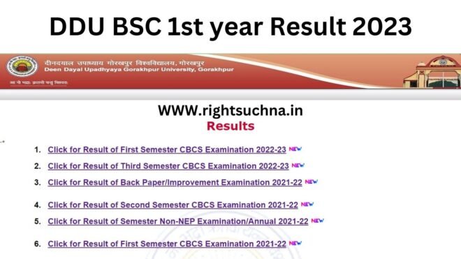 DDU BSC 1st year Result 2023