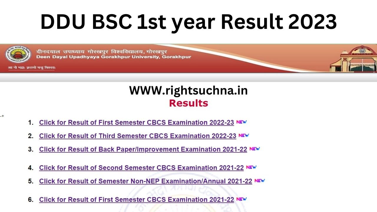 DDU BSC 1st year Result 2023 