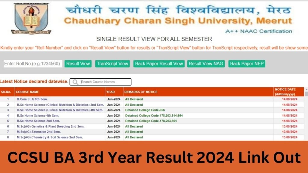 CCSU BA 3rd Year Result 2024 Link Out