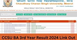 CCSU BA 3rd Year Result 2024 Link Out