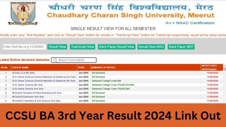 CCSU BA 3rd Year Result 2024 Link Out