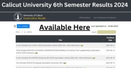 Calicut University 6th Semester Results 2024 check