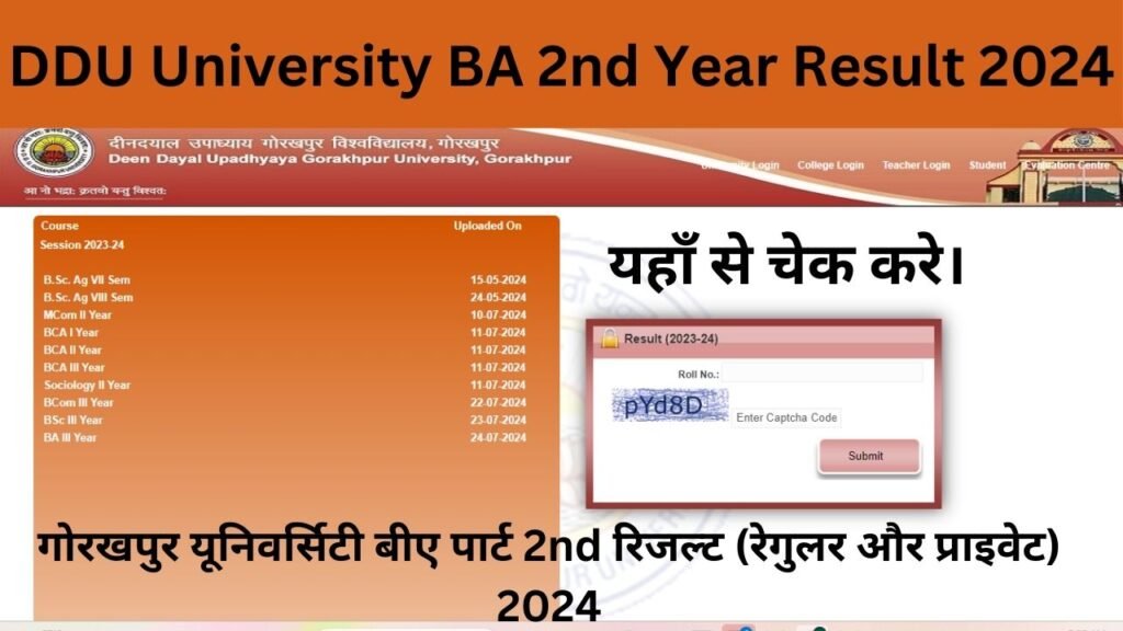 DDU University BA 2nd Year Result 2024 - यहाँ से चेक करे।