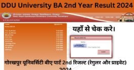 DDU University BA 2nd Year Result 2024 - यहाँ से चेक करे।