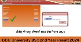 DDU University BSC 2nd Year Result 2024 (चेक करे।) गोरखपुर यूनिवर्सिटी बीएससी सेकंड ईयर का रिजल्ट 2024