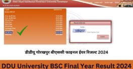 DDU University BSC Final Year Result 2024 | डीडीयू गोरखपुर बीएससी फाइनल ईयर रिजल्ट 2024