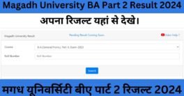 Magadh University BA Part 2 Result 2024[Out]