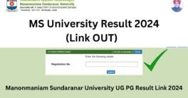 MS University Result 2024 (Link OUT) msuniv.ac.in UG & PG Results 2024